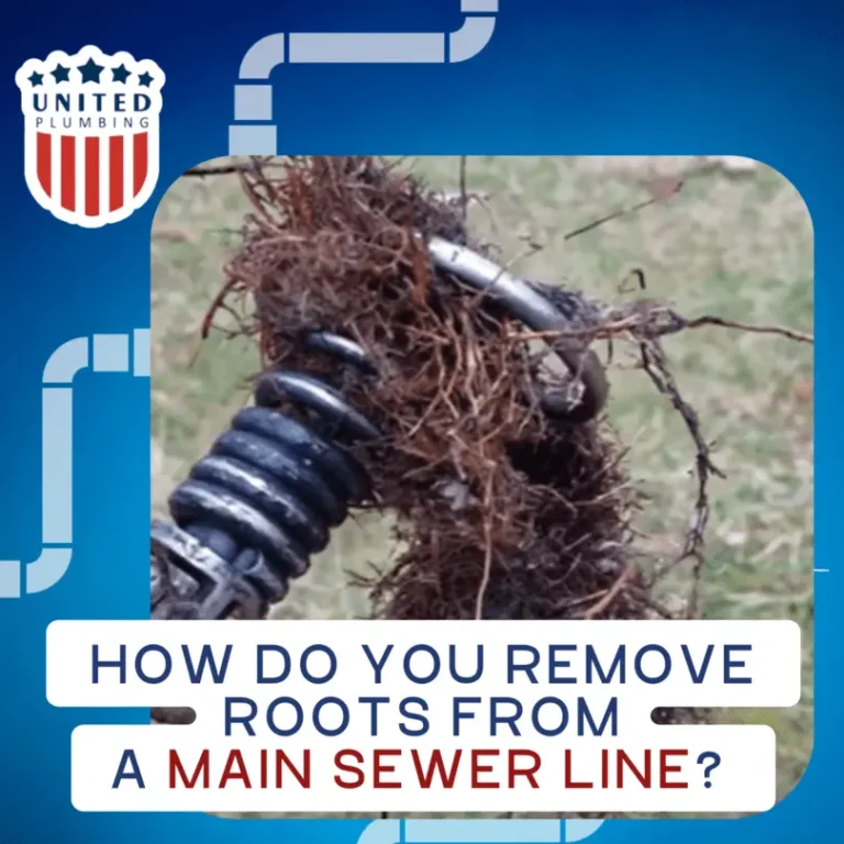 How do you remove roots from a main sewer line?