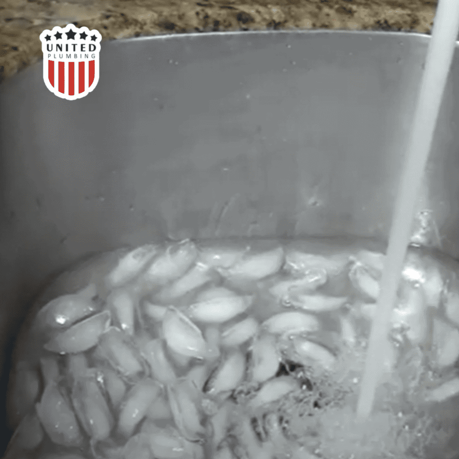 Why does my garbage disposal smell so bad United Plumbing Blog