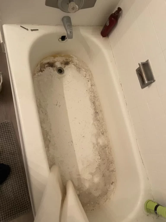 Clean the shower drain