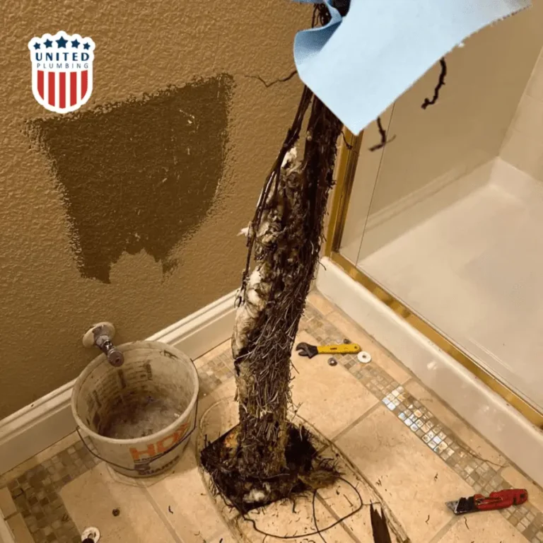 Tree Root Intrusion in Sewer Line