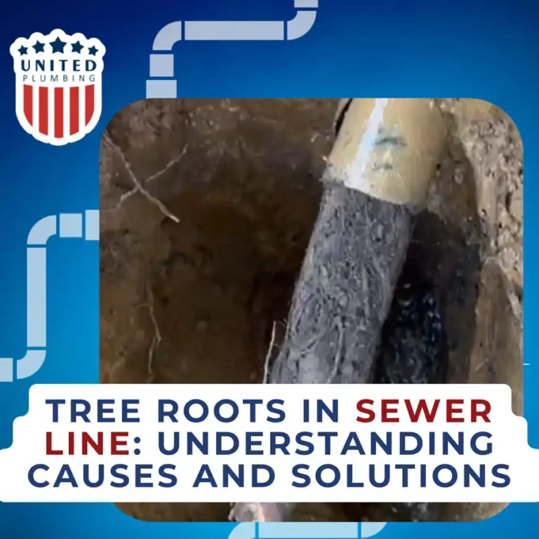 Tree Roots in Sewer Line: Understanding Causes and Solutions