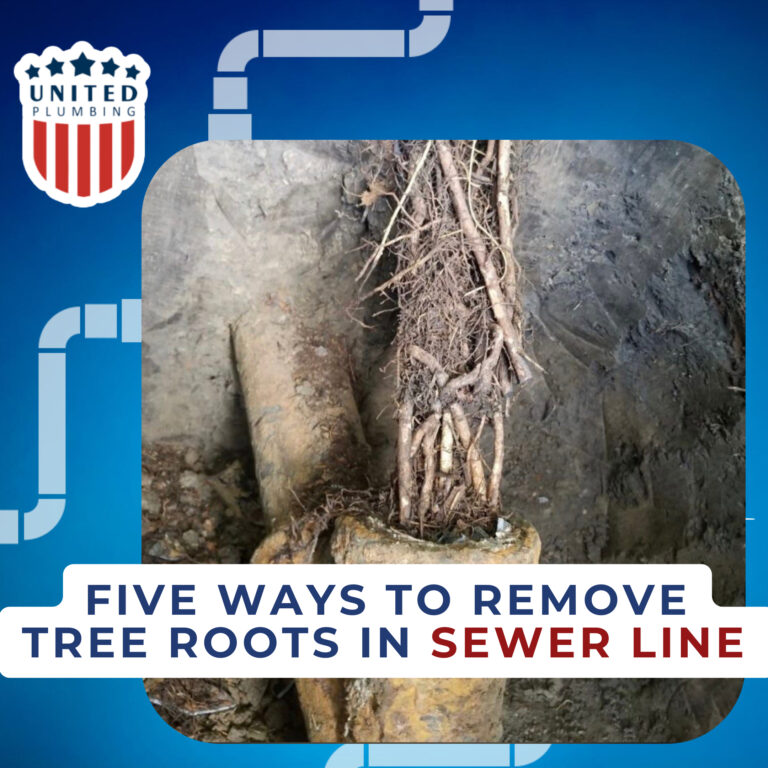 Five Ways To Remove Tree Roots In Sewer Line