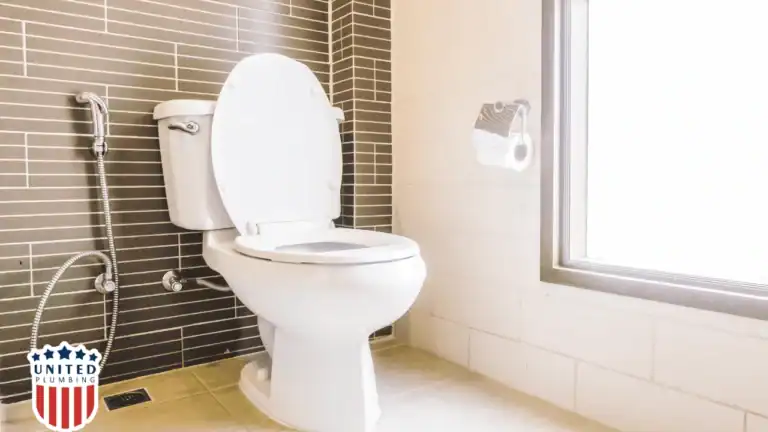 White toilet in a modern bathroom with bidet spray, representing common causes of clogged toilets.