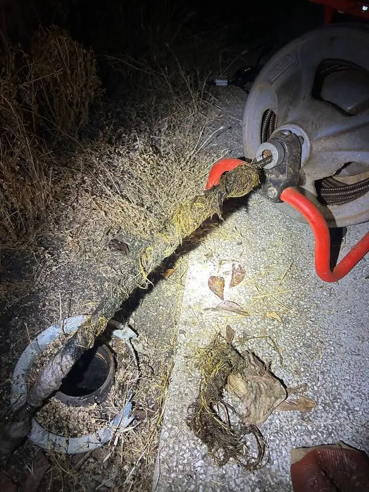 Drain Cleaning Near You: Same-Day and Emergency Service
