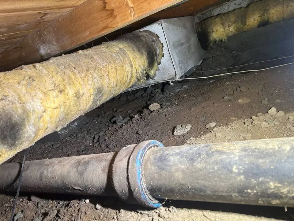 How We Locate Leaks Inside Walls and Ceilings