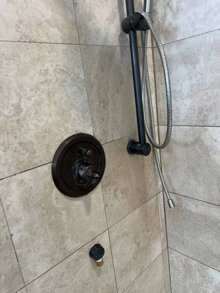 shower-repair